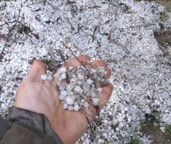 PHOTO-2023-04-24-12-40-31