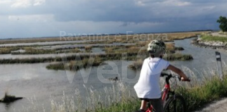 Un’escursione in bici lungo il Canale Naviglio Zanelli