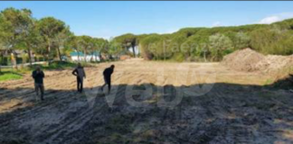 Ancisi: “Gemelle le due pinete violentate a Marina Romea: una abbattuta, l’altra abusata a parcheggio”