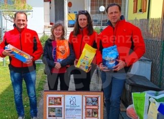 Adotta un gatto e aiuta gli GliAdottaGatti: Cuore e territorio risponde al Sos del gattille di Porto Corsini