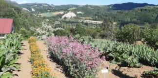 Il Giardino delle Erbe di Casola Valsenio riparte con visite guidate, picnic, corsi di botanica e visite esperienziali