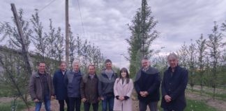 Agricoltura e gelate, Buonguerrieri (FDI) incontra Agrintesa: Massima sinergia per sostenere le aziende colpite