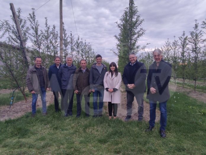 incontro-agrintesa-buon guerrieri (1)