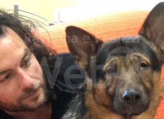 Il “super cane” Marley verrà insignito del titolo di Cittadino onorario di Marina di Ravenna