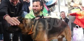 Il cane cieco Marley cittadino onorario di Marina di Ravenna