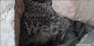 Ricci trovati morti alla Ghilana, presentata la denuncia