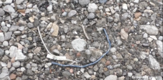 Rifiuti edili per gli stradelli del Parco Marittimo a Marina di Ravenna e Punta Marina: arriva la denuncia