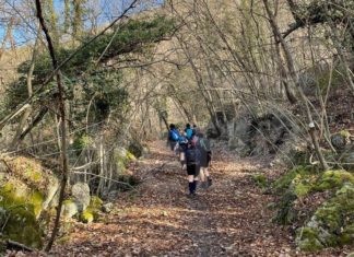 Lo scoutismo a Massa Lombarda compie 50 anni