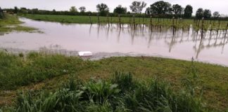 Maltempo, Croatti (M5s): vicini ai cittadini colpiti, governo dichiari stato di calamità