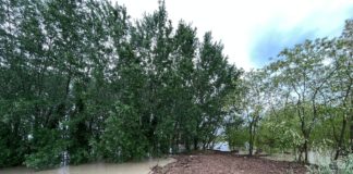 Cna: vicini alla popolazione e alle imprese colpite dall’alluvione