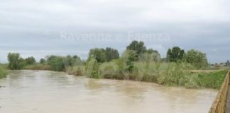 I danni dell’alluvione alla produzione e alla trasformazione di erba medica, la tragedia unisce il mondo agricolo e cooperativo