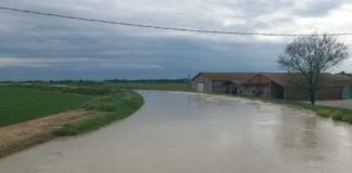 Confcooperative Romagna: Al via una raccolta fondi per aiutare per le cooperatrici e i cooperatori alluvionati