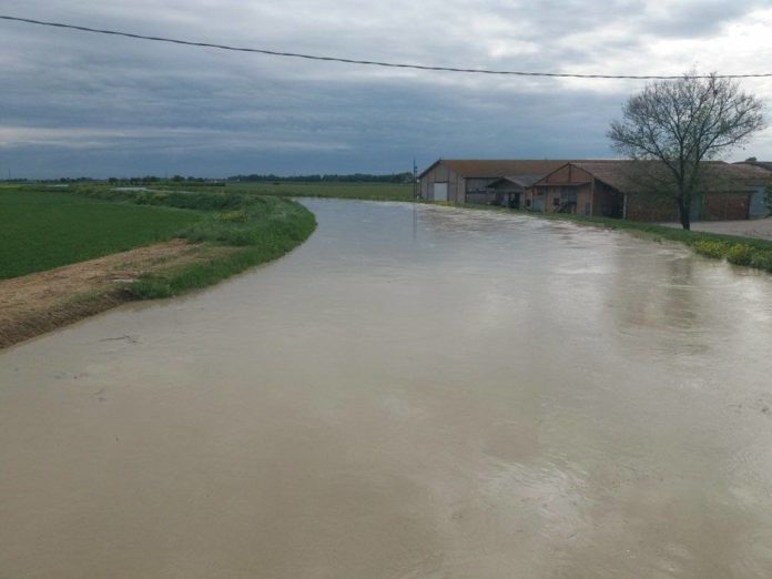 344837614_1618592988553068_2562348559685041466_n