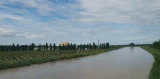 L’Ordine degli Agronomi e dei Forestali: “Fiumi coperti da vegetazione. Pagate le mancate decisioni”