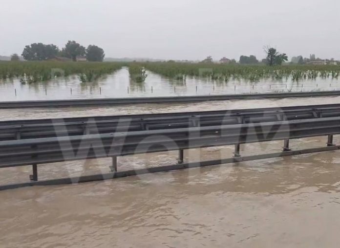 347098767_907551066982787_1574857513399475295_n