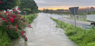 Fusignano, Pasi: Oggi siamo in battaglia. Aggiornamento della situazione