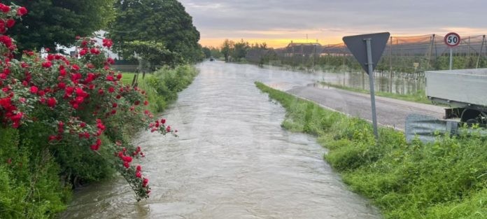 347595728_3601133633442705_2528187080736546246_n