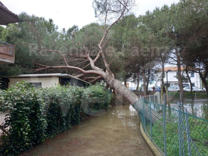 347787026_1451774828910403_1050232053280805558_n