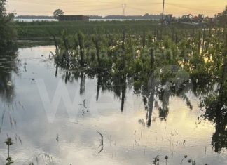 Anche domani allerta rossa nelle zone alluvionate