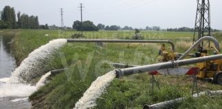 Emergenza alluvione, trattamento straordinario antizanzara a Conselice. Ecco dove.