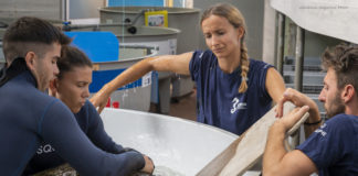 CESTHA Novità 2023: Sere di mare. Corso di biologia marina aperto alla cittadinanza