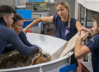 CESTHA Novità 2023: Sere di mare. Corso di biologia marina aperto alla cittadinanza