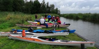 Una camminata in pineta: festeggia così i 50 anni di AIDO il Gruppo comunale di Ravenna