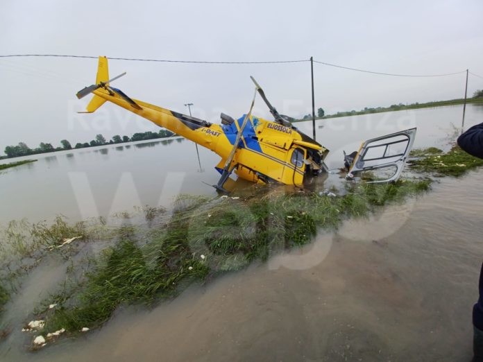 Immagine WhatsApp 2023-05-20 ore 12.06.36