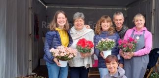 “Festa della Mamma 2023”: record di azalee donate in tutta la Romagna