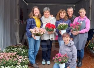 “Festa della Mamma 2023”: record di azalee donate in tutta la Romagna