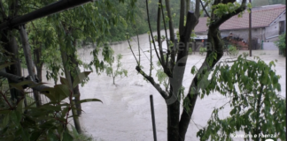Il Samoggia torna ad allagare i campi: situazione peggiorata a Faenza