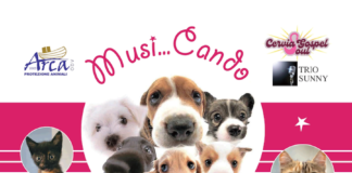 Il 9 maggio al Teatro Comunale di Cervia un concerto e una raccolta fondi a favore del canile-gattile