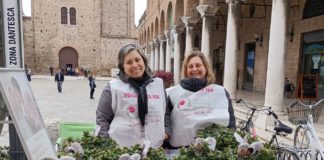 Ior, Festa della Mamma 2023: la provincia di Ravenna pronta a tornare in fiore