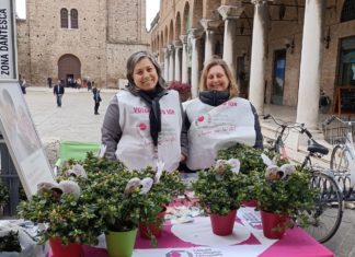 Ior, Festa della Mamma 2023: la provincia di Ravenna pronta a tornare in fiore
