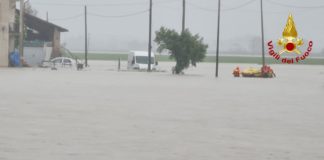 Il Sillaro ha rotto l’argine: allagate le campagne fra Massa Lombarda e Conselice