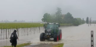 Alluvioni in Romagna, Legacoop chiede la dichiarazione dello stato di calamità naturale