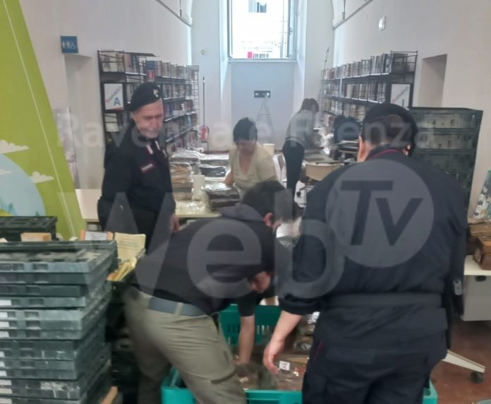 WhatsApp Image 2023-05-25 at 10.49.49 (2)