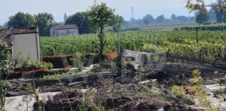 Cia Romagna. Alluvione, ancora emergenza: il rischio è di perdere la filiera ortofrutticola