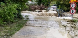 Lettera aperta alla Senatrice Marta Farolfi da parte di una lettrice “siamo beffati e umiliati”