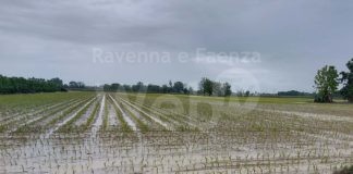 Coldiretti. Maltempo: con decreti pagamento Agea iniezione di liquidità per migliaia di imprese