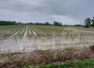 Coldiretti. Maltempo: con decreti pagamento Agea iniezione di liquidità per migliaia di imprese