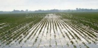 Coldiretti: a 1 mese dall’alluvione 100mila ettari nel fango