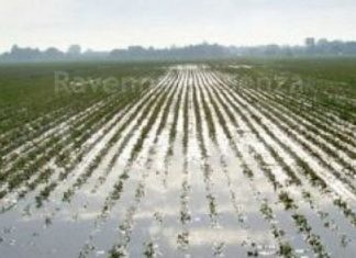 Oltre 100 agricoltori trentini raggiungono Faenza per aiutare i colleghi romagnoli