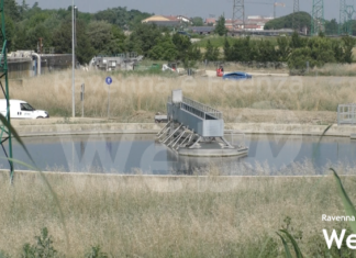 Hera ha chiesto alle aziende di trattare il materiale organico scaricato nelle fogne per evitare altri periodi di cattivi odori
