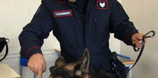 Carabinieri: durante i controlli nelle scuole sequestrati due chili di droga