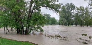 Alluvione: Legacoop Romagna attiva fondo di solidarietà per soci e lavoratori danneggiati