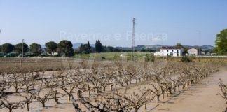 Dl maltempo: aiuti per 115mila imprese, il 15% agricole