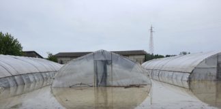 Alluvioni, Legacoop Romagna scrive a Bonaccini – il primo computo dei danni