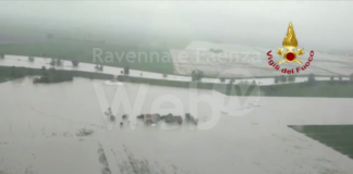 Massa Lombarda, cede l’argine del Santerno a Mordano, l’acqua sta scendendo verso lo Zaniolo, via Selice, e raggiungerà Fruges