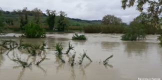 Situazione critica a Bagnacavallo. Rischio evacuazione in diverse zone. Domani scuole chiuse